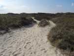 Dünen auf Baltrum